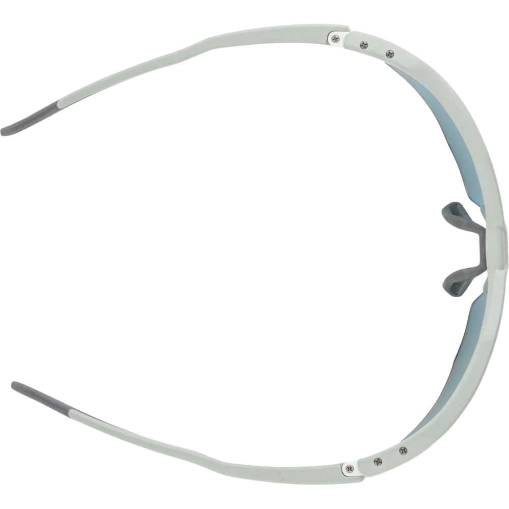 ALPINA Herren Sportbrille Twist Six S HR QV -