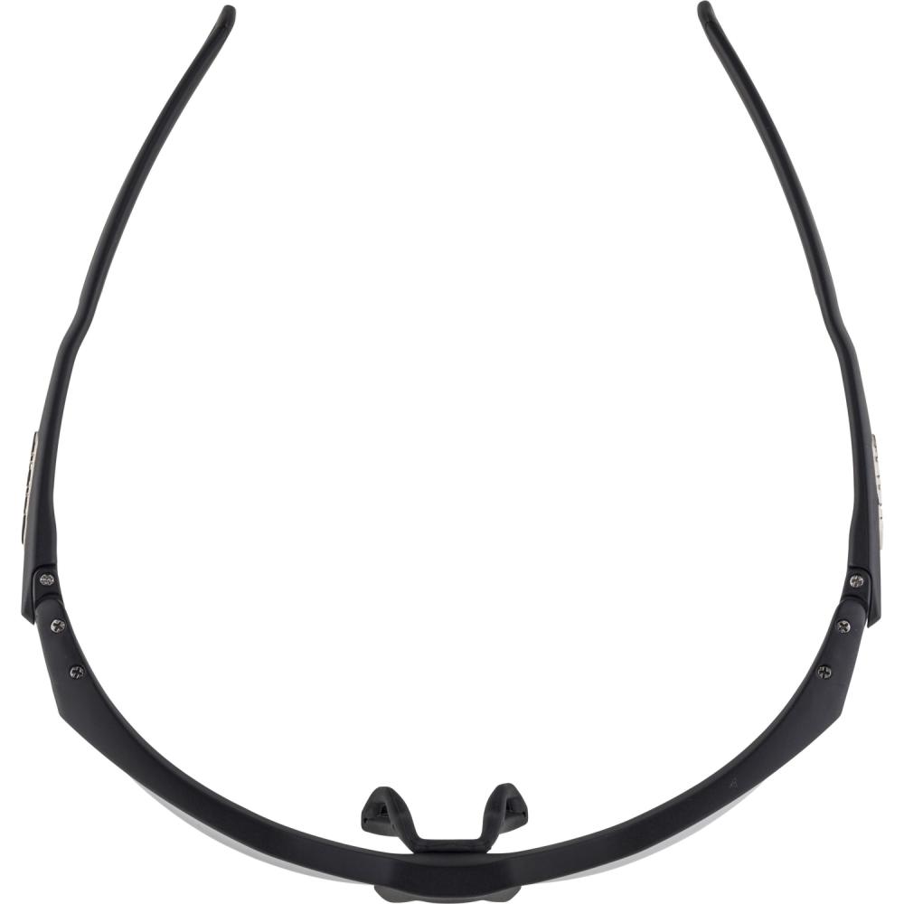 Alpina Twist Five HR VL+ Sportbrille -