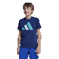 morepic-4