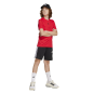 morepic-4