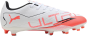 morepic-4