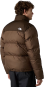 morepic-4