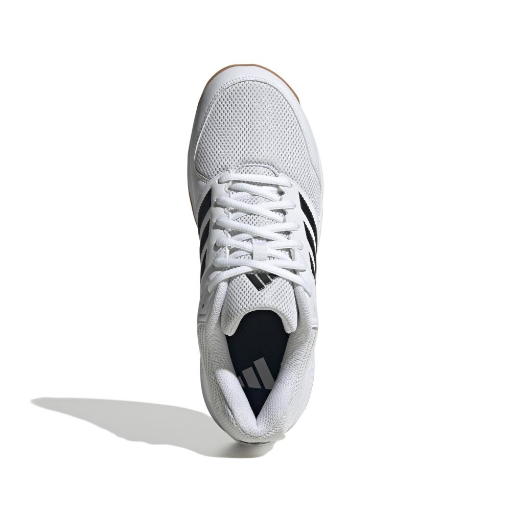 adidas Herren Volleyballschuhe Speedcourt 10