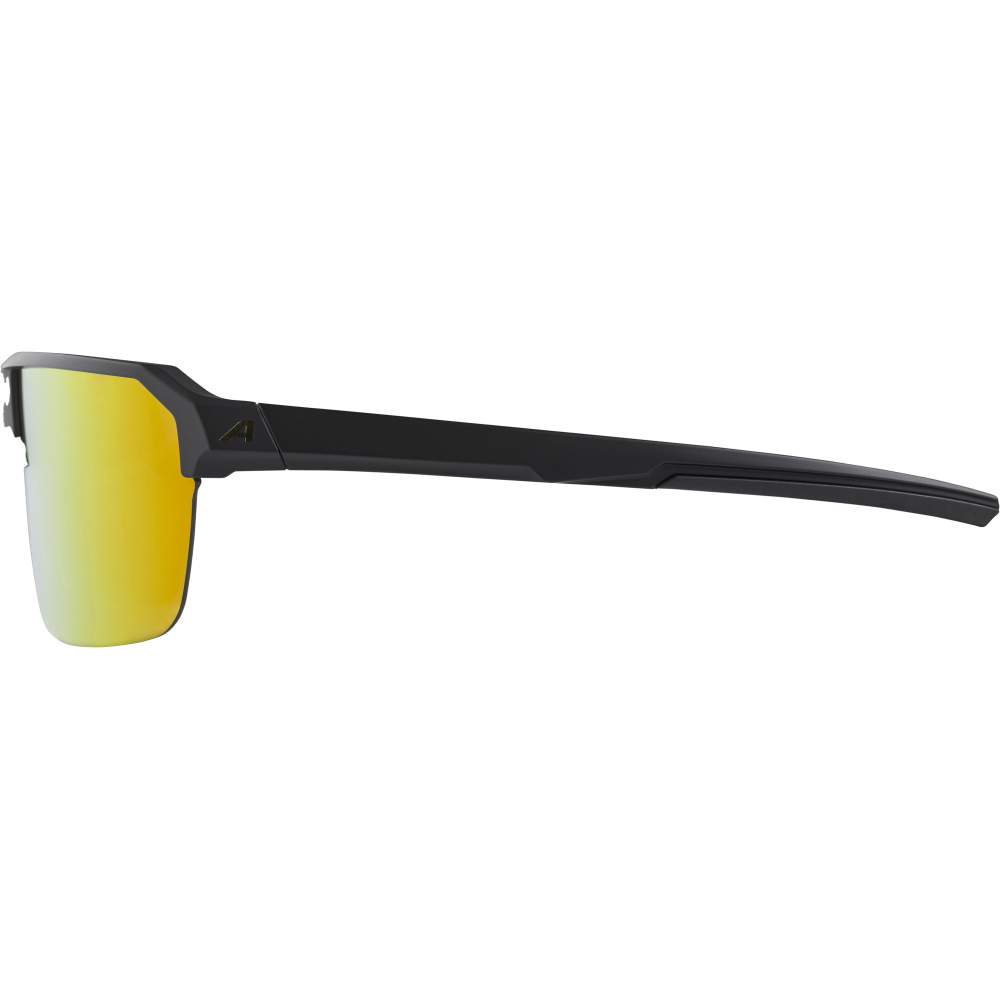 Alpina Sport Sonnenbrille SWIFT HR -