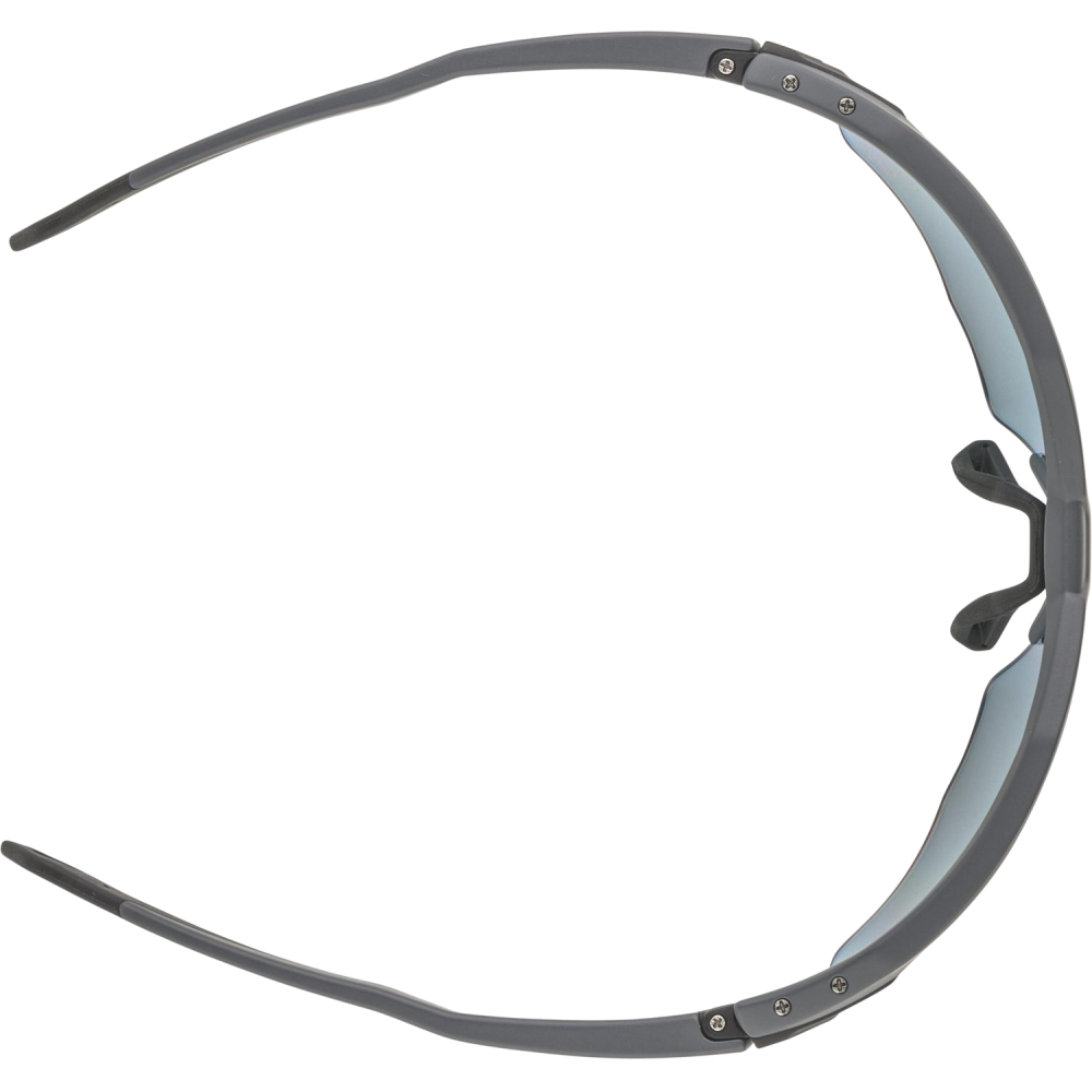 Alpina Sportbrille Twist Five HR QVM+ -
