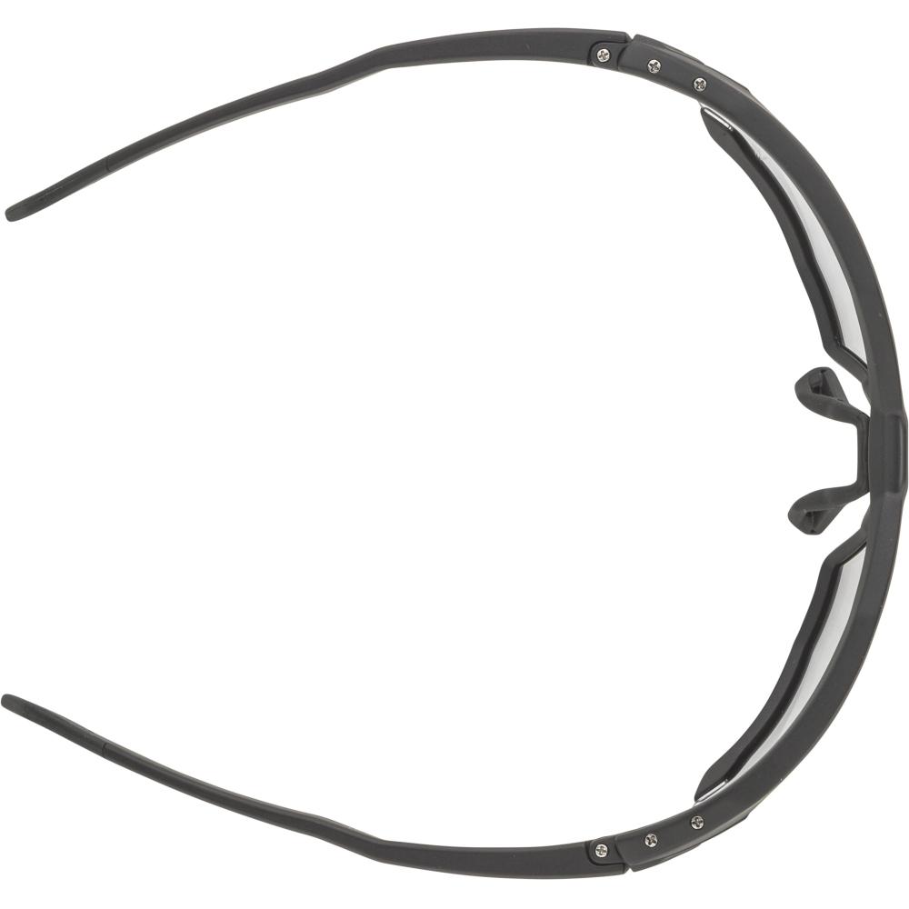 Alpina TWIST SIX V Sportbrille -