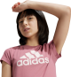 morepic-5
