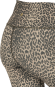 morepic-5