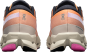 morepic-5