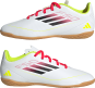 morepic-6