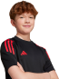 morepic-6