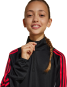 morepic-6