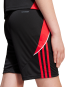 morepic-7
