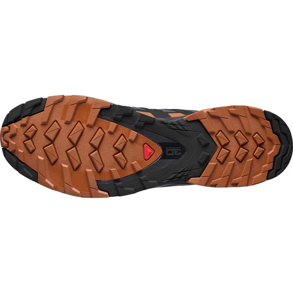 SALOMON Herren Trailrunningschuhe XA PRO 3D V8 GTX"  